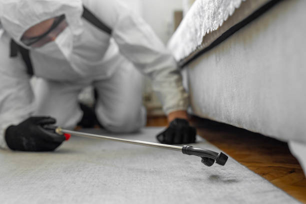 Professional Cockroach Control technician working in Pinewood, FL