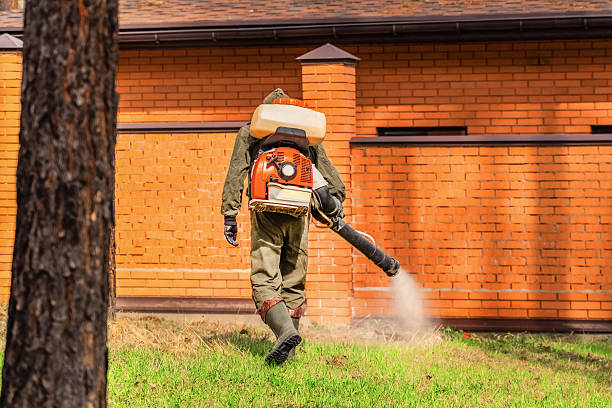 Trusted Cockroach Control service in Pinewood, FL - Nex Pest Control